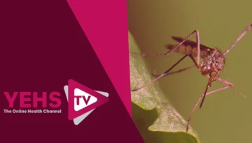 Zika Virus Fears - Olympians Fearful?